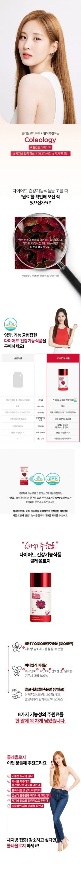 콜레올로지 600mg * 30+10정 추가증정