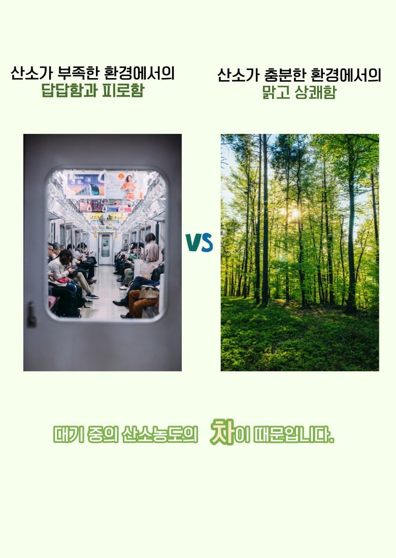 산소발생기 산소방 애견 가정용