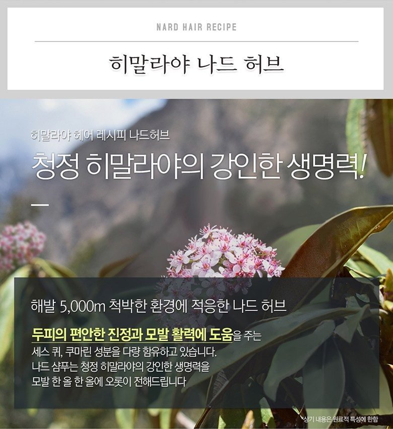 나드 히말라야 허브 나드 샴푸린스 세트
