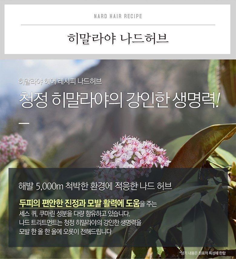 나드 히말라야 허브 나드 샴푸린스 세트