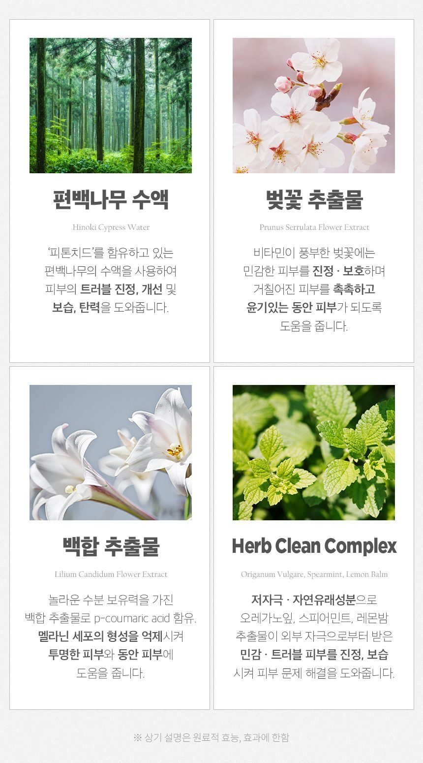 [고민금지] 1+1 비바루즈 네츄럴 퍼퓸 향수 바디워시 3종